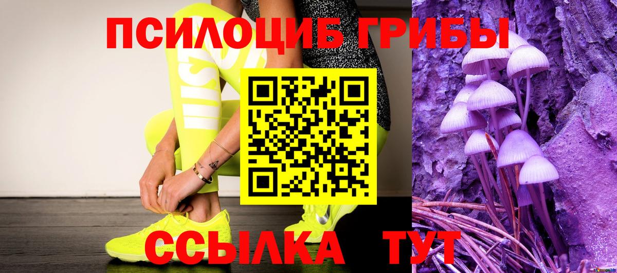 купить наркотики цена  Вход с VPN  Ступино  Псилоцибиновые грибы GOLDEN TEACHER 