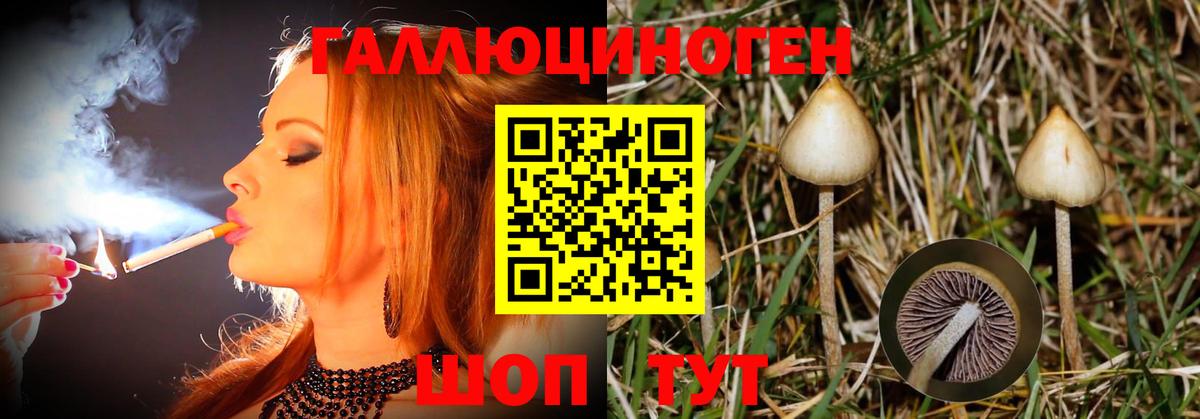 Галлюциногенные грибы Magic Shrooms Ступино